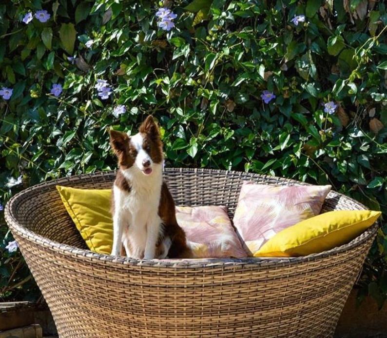 Villa Aye Pousada Boutique Petfriendly Socorro  Exteriör bild