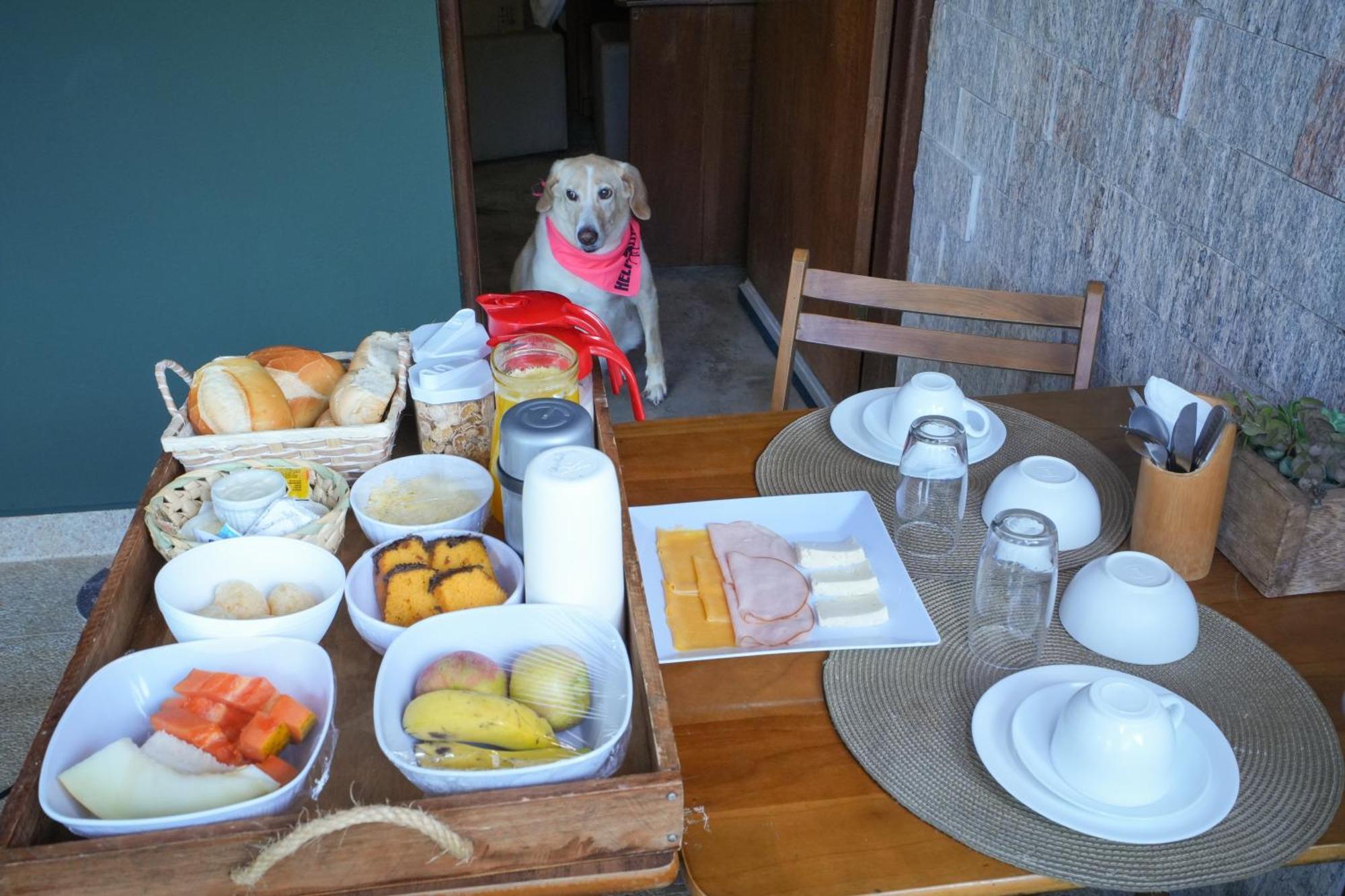 Villa Aye Pousada Boutique Petfriendly Socorro  Exteriör bild